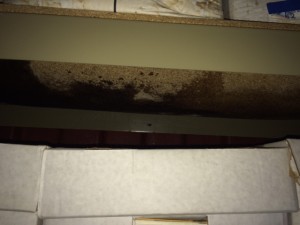 The evidence of mold growth underneath the wooden shelves is apparent