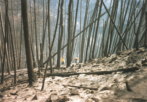 NAU.PH.2002.21.36