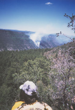 NAU.PH.2002.21.88
