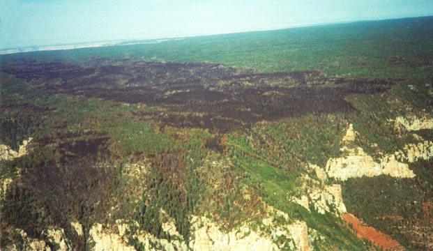 NAU.PH.2002.21.90