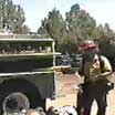 firefighters