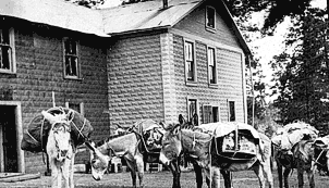 [NAU.PH.96.3.23.2] Tin House, circa 1914.