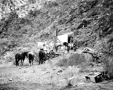 [NAU.PH.96.3.23.26] Camp at entrance to Bass Copper Mine (tunnel mouth behind horses), circa 1912.