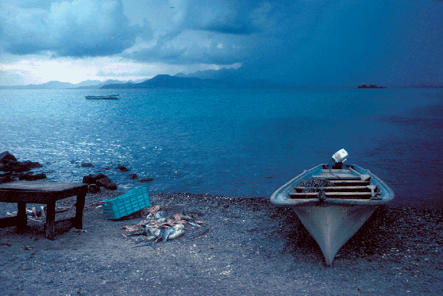 Pardita Storm, 1976.