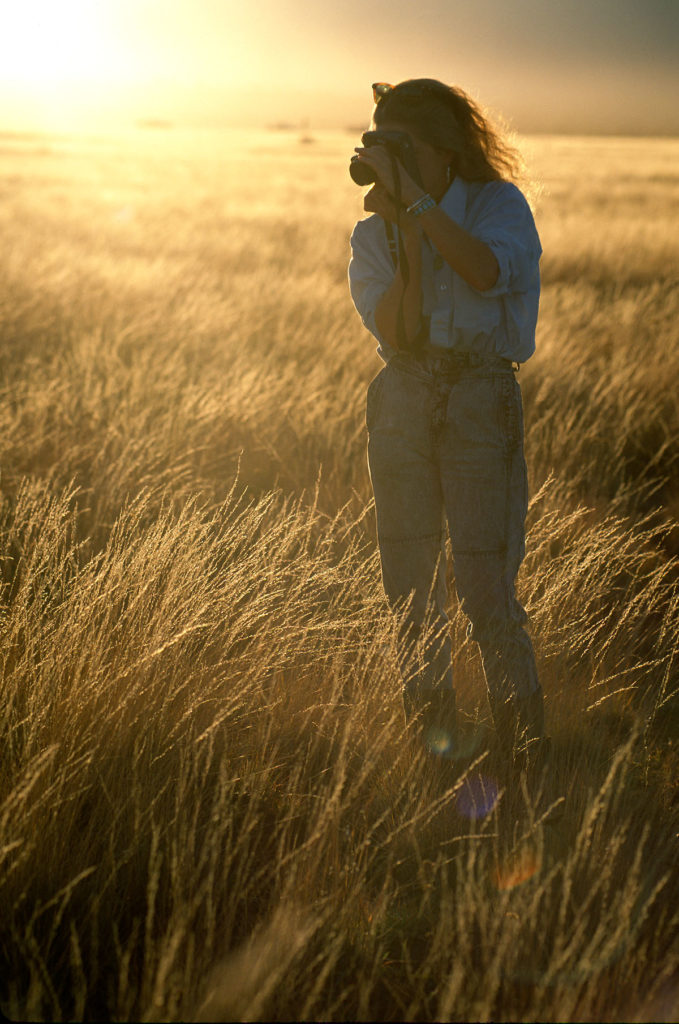 Sue in a Field of Golden Grass