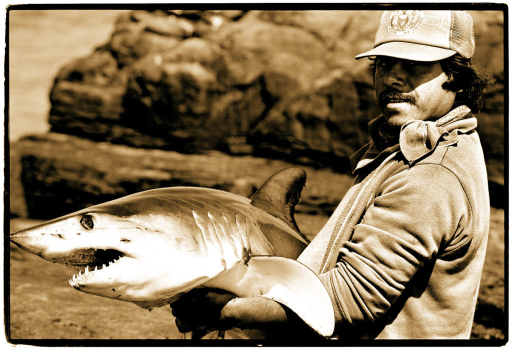 Man with Shark