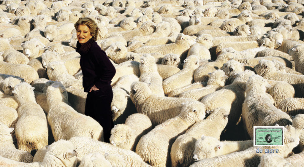 [American Express] ad with sheep