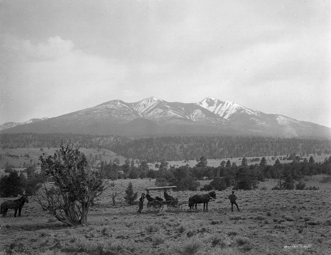 San Francisco Mts. from the North, Arizona.