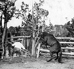 [NAU.PH.96.3.23.23] Bert Lauzon at Bass Camp, 1917.