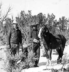 [NAU.PH.96.3.25.62] Warren Hamilton and Jack Jones beside so-called "Dwarf Wild Horse," 1938.