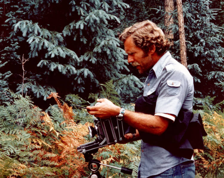 David Muench (1984) with camera in Sequoia National Park amongst the redwood trees